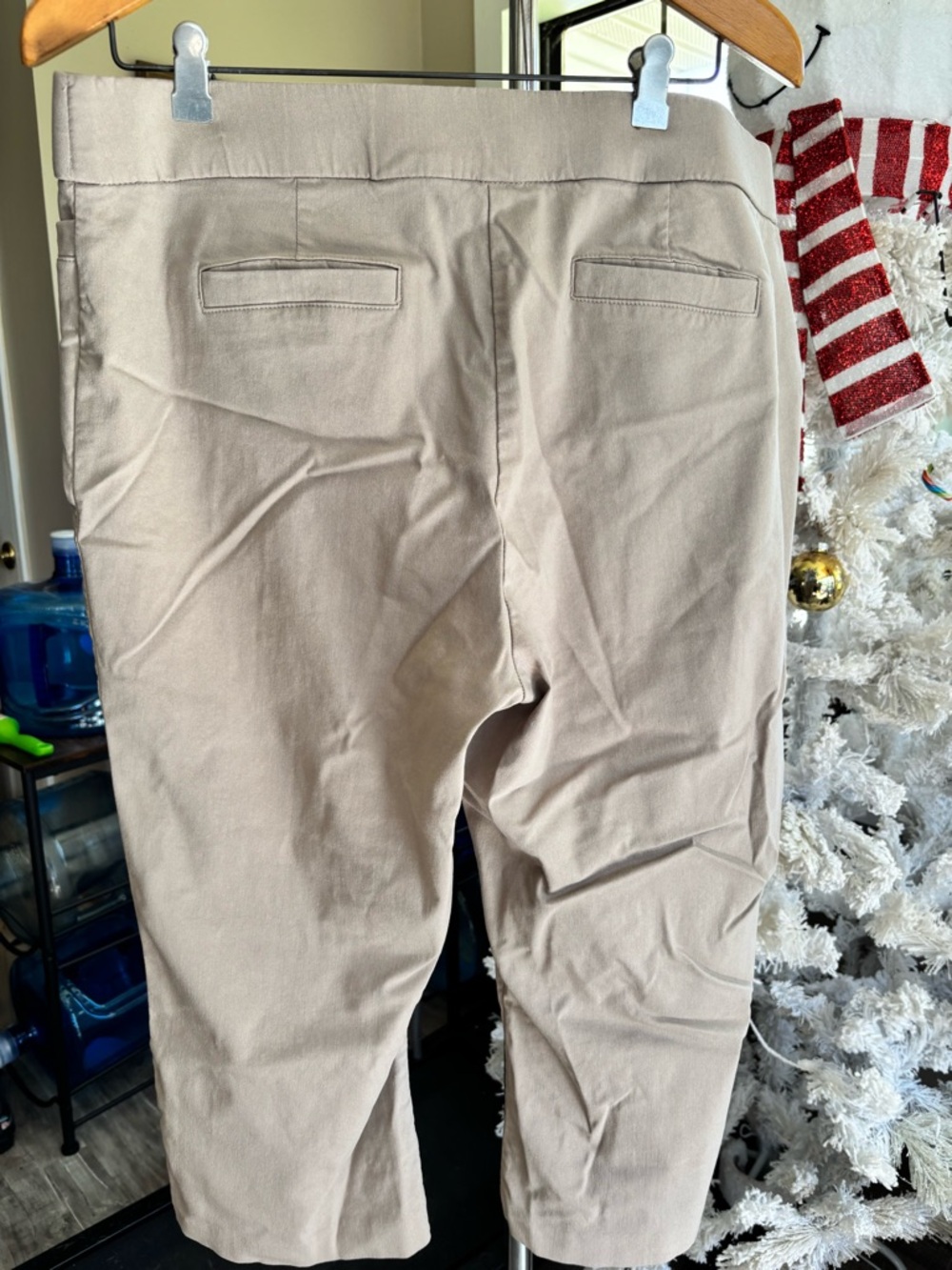 Briggs Beige Casual Cropped Pants- Size 16 GUC - Picture 2 of 3